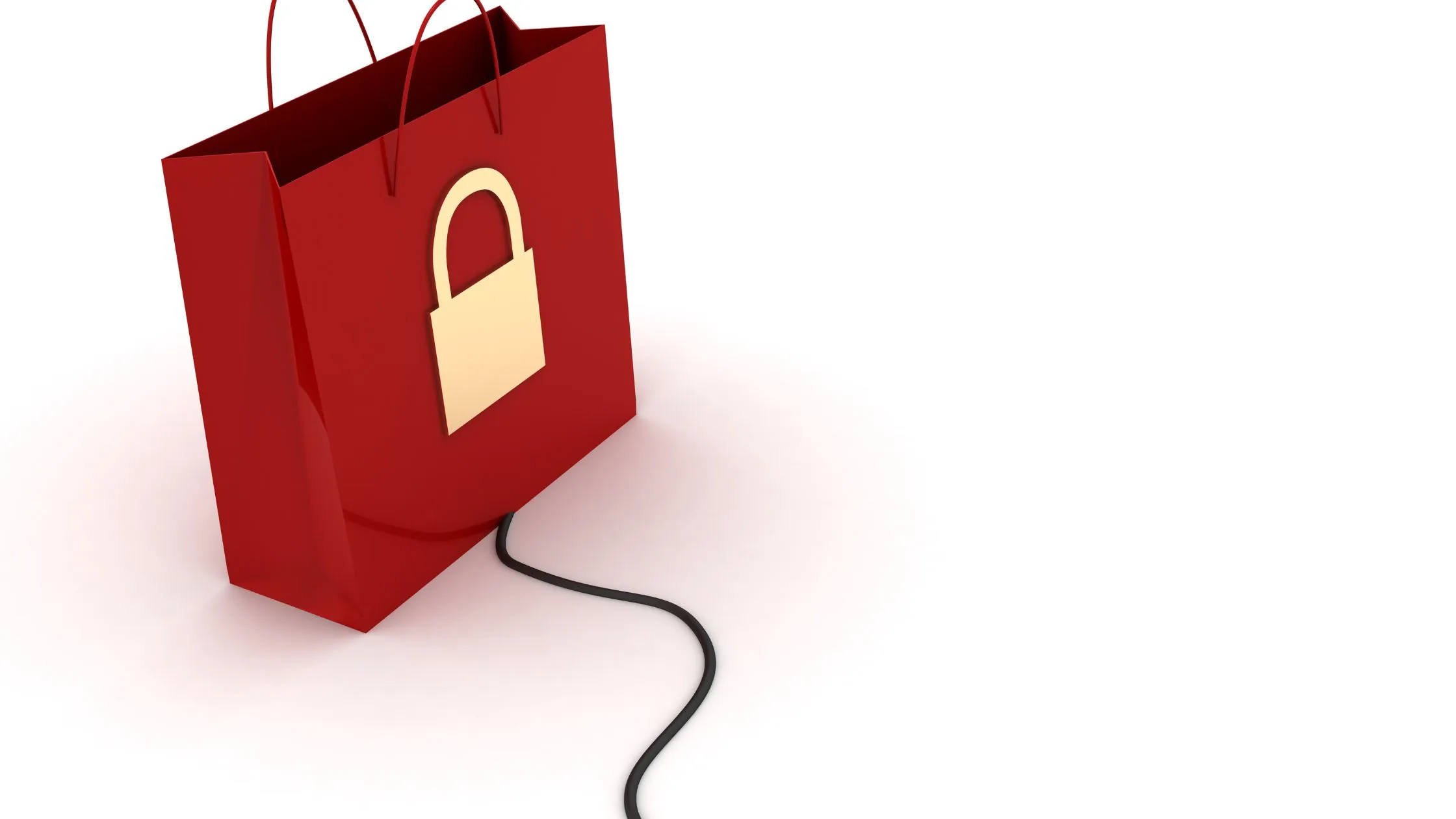 Safeguarding Your E-Commerce Empire A Guide to Enhancing Website Security